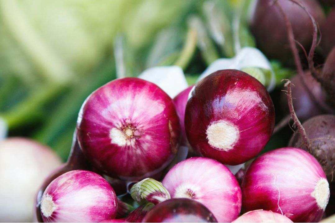 Seaside family voucher